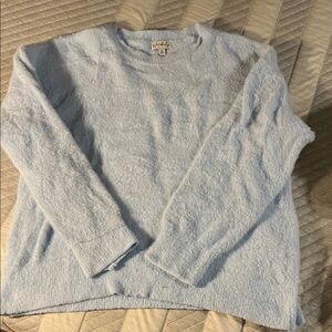 Wonderly Light Blue Crewneck Sweater